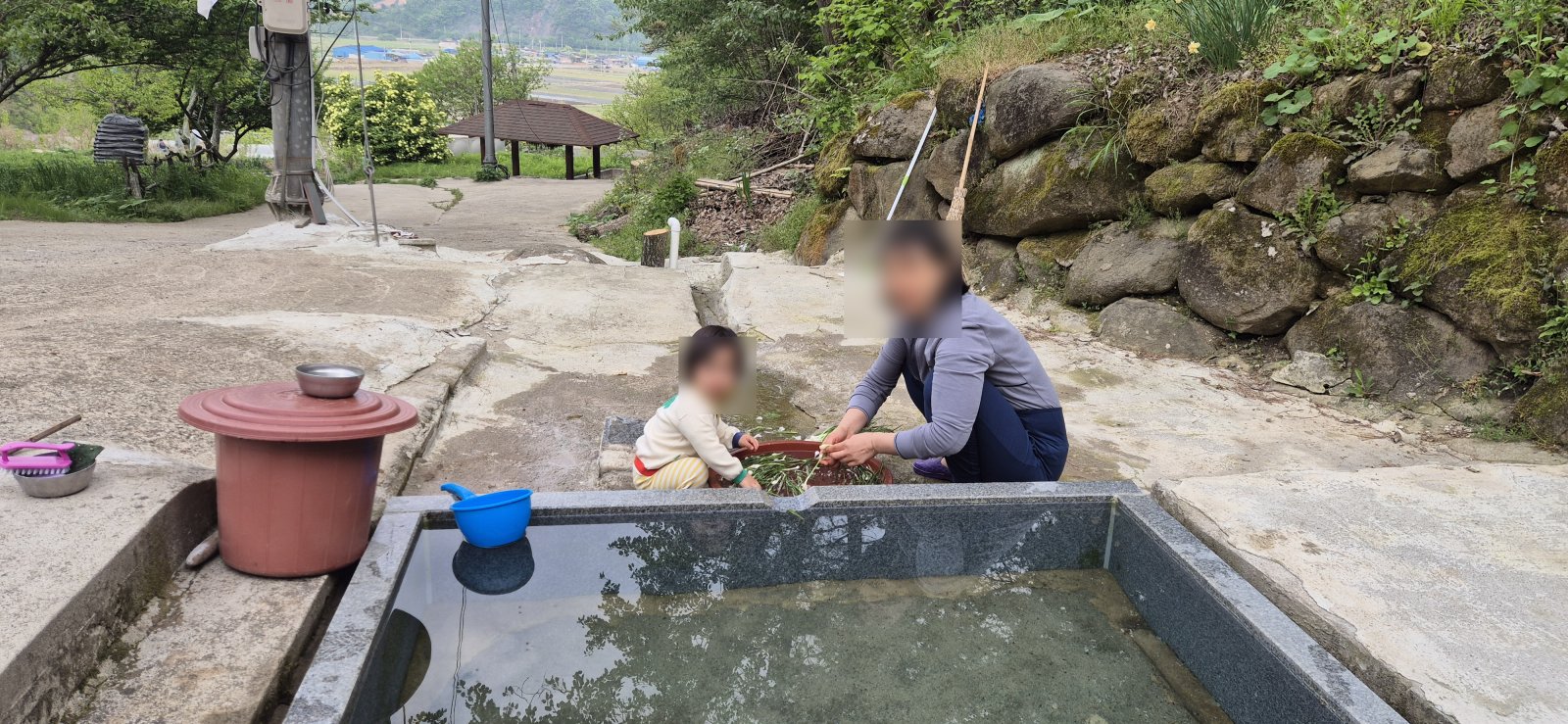 My wife and daughter washing wild greens at Daeheung Spring, a natural spring I built on our farm by the Boseong River (faces blurred for privacy)