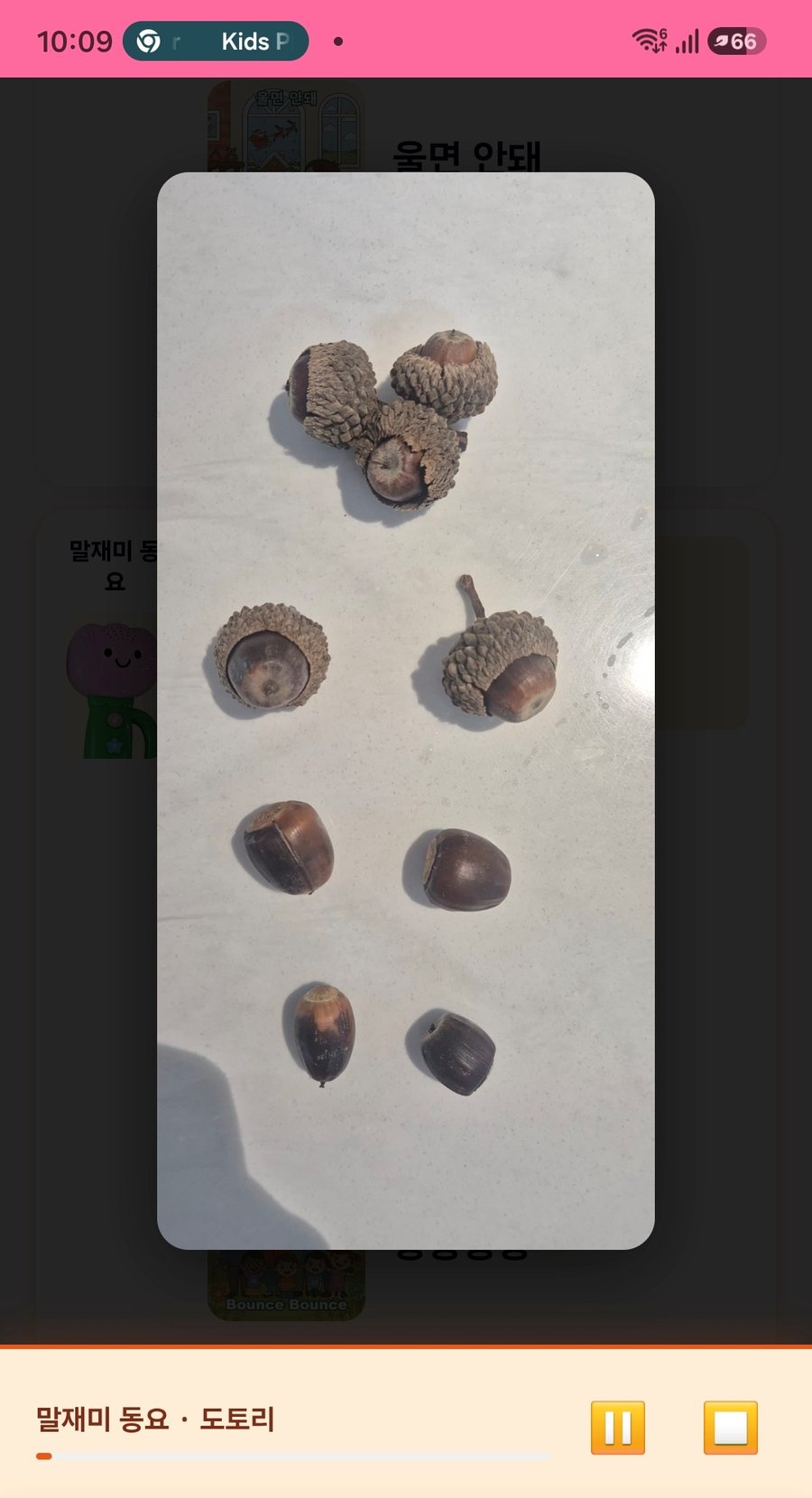 The full-screen photo of real acorns, opened inside the Kids Player app while the song &ldquo;Acorn&rdquo; plays
